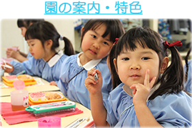 園の案内・特色