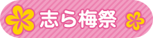 志ら梅祭